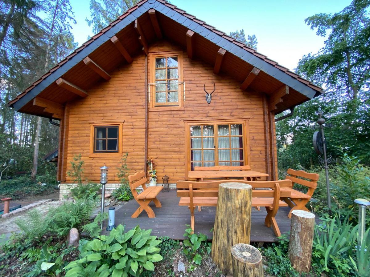 Waldhaus Eichhoernchen Bad Schmiedeberg Exterior photo
