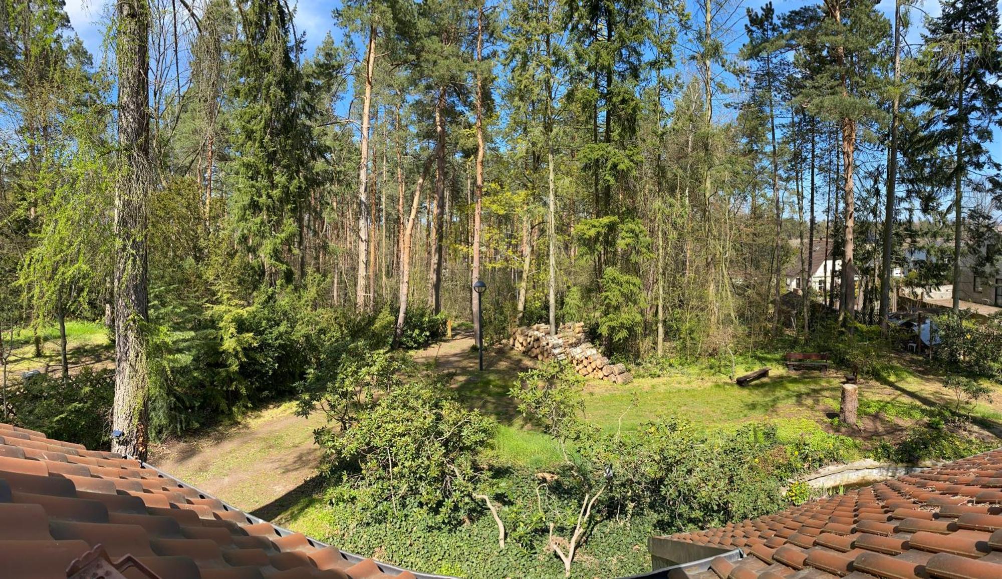 Waldhaus Eichhoernchen Bad Schmiedeberg Exterior photo