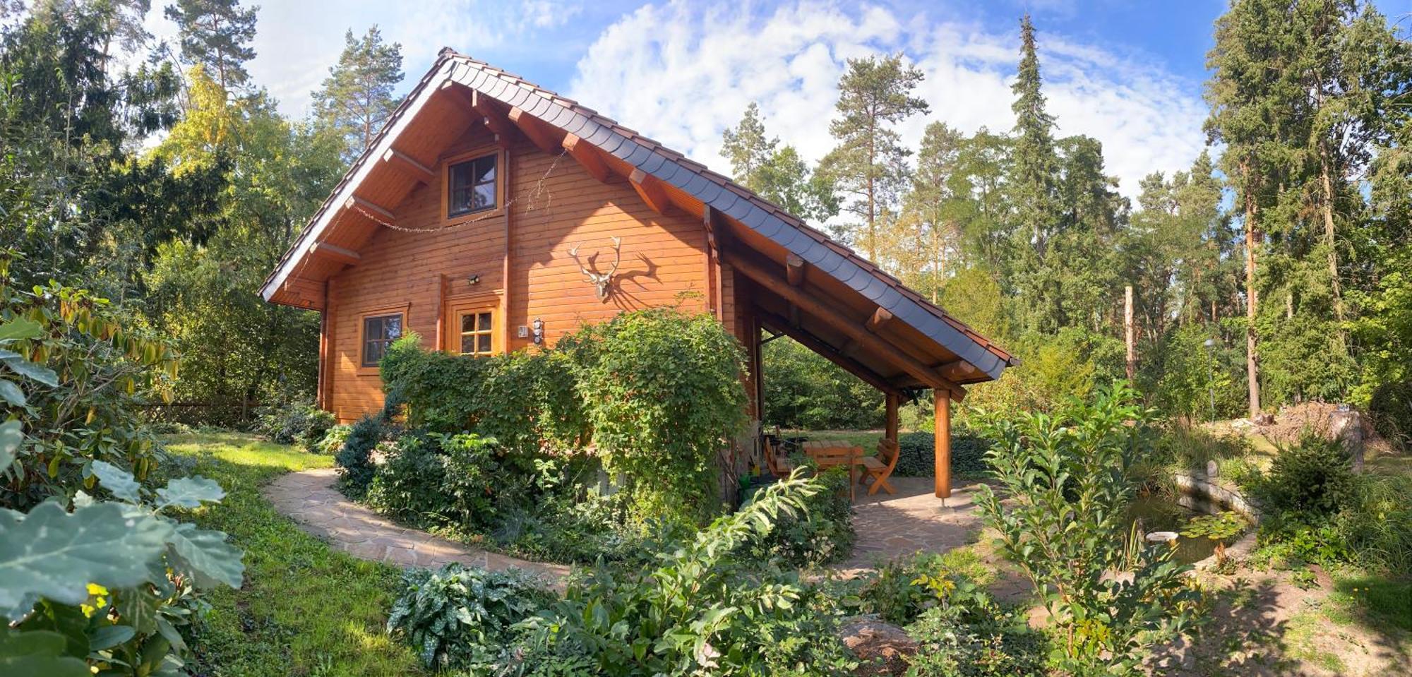 Waldhaus Eichhoernchen Bad Schmiedeberg Exterior photo