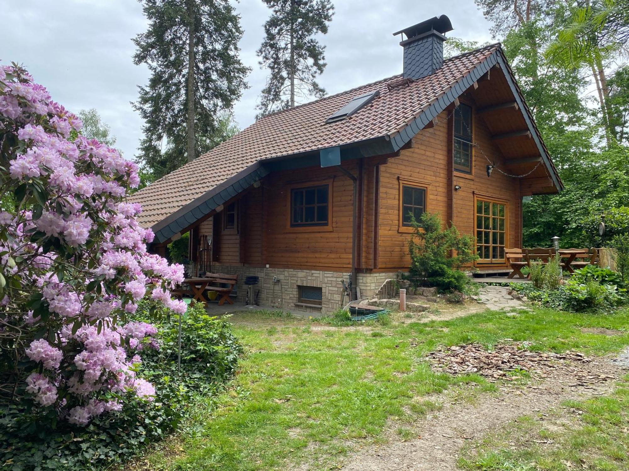 Waldhaus Eichhoernchen Bad Schmiedeberg Exterior photo